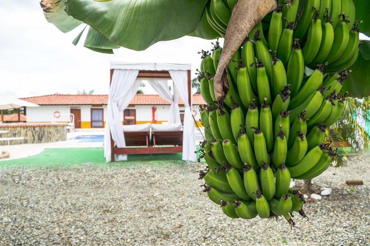 Finca Hotel La Quinta De Torrione キンバヤ エクステリア 写真